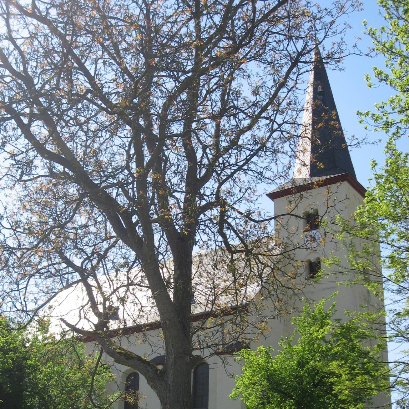 St. Laurentius Beulich